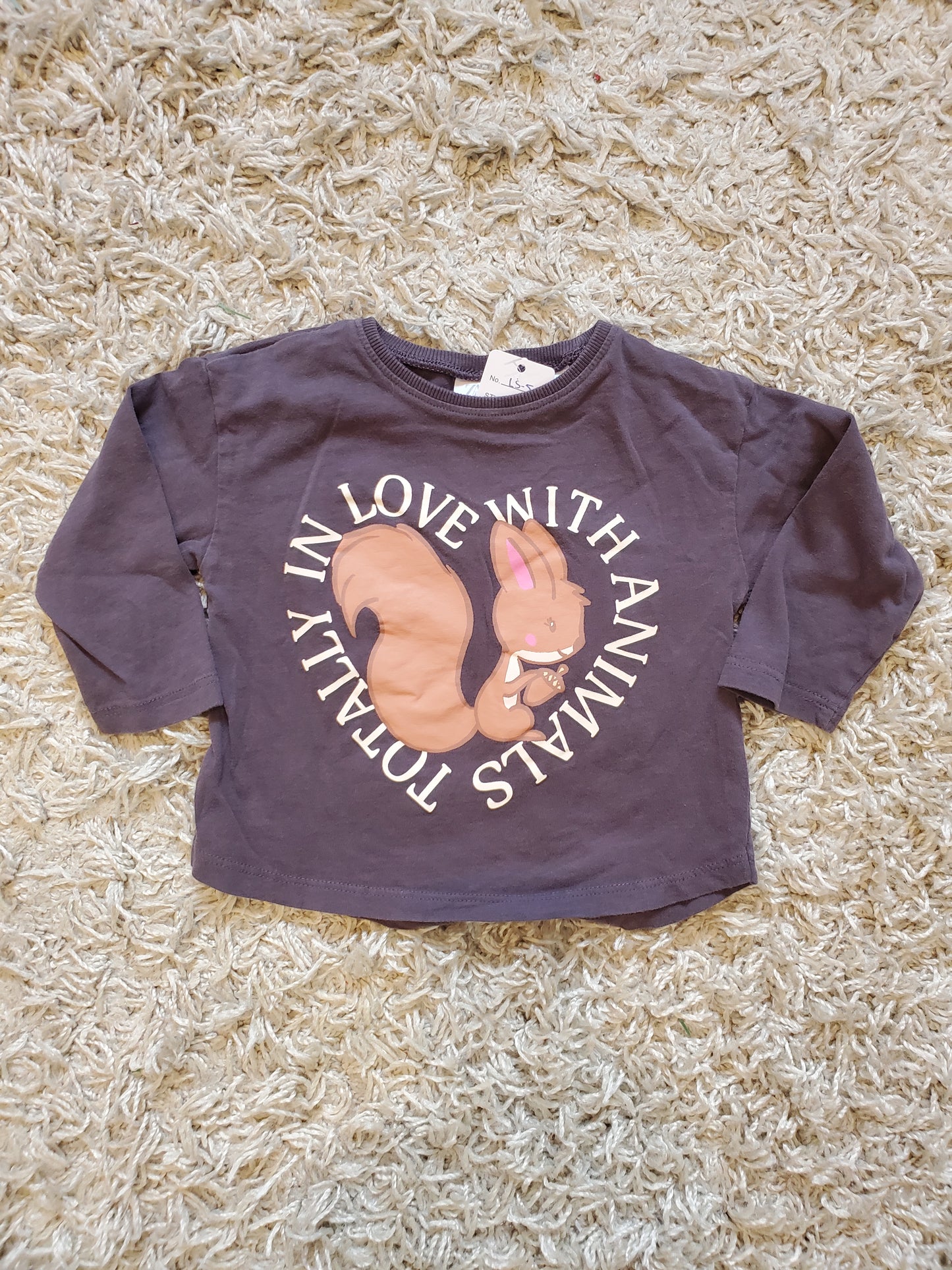 Zara long sleeve t-shirt. Size 12-18 months. Excellent used condition.