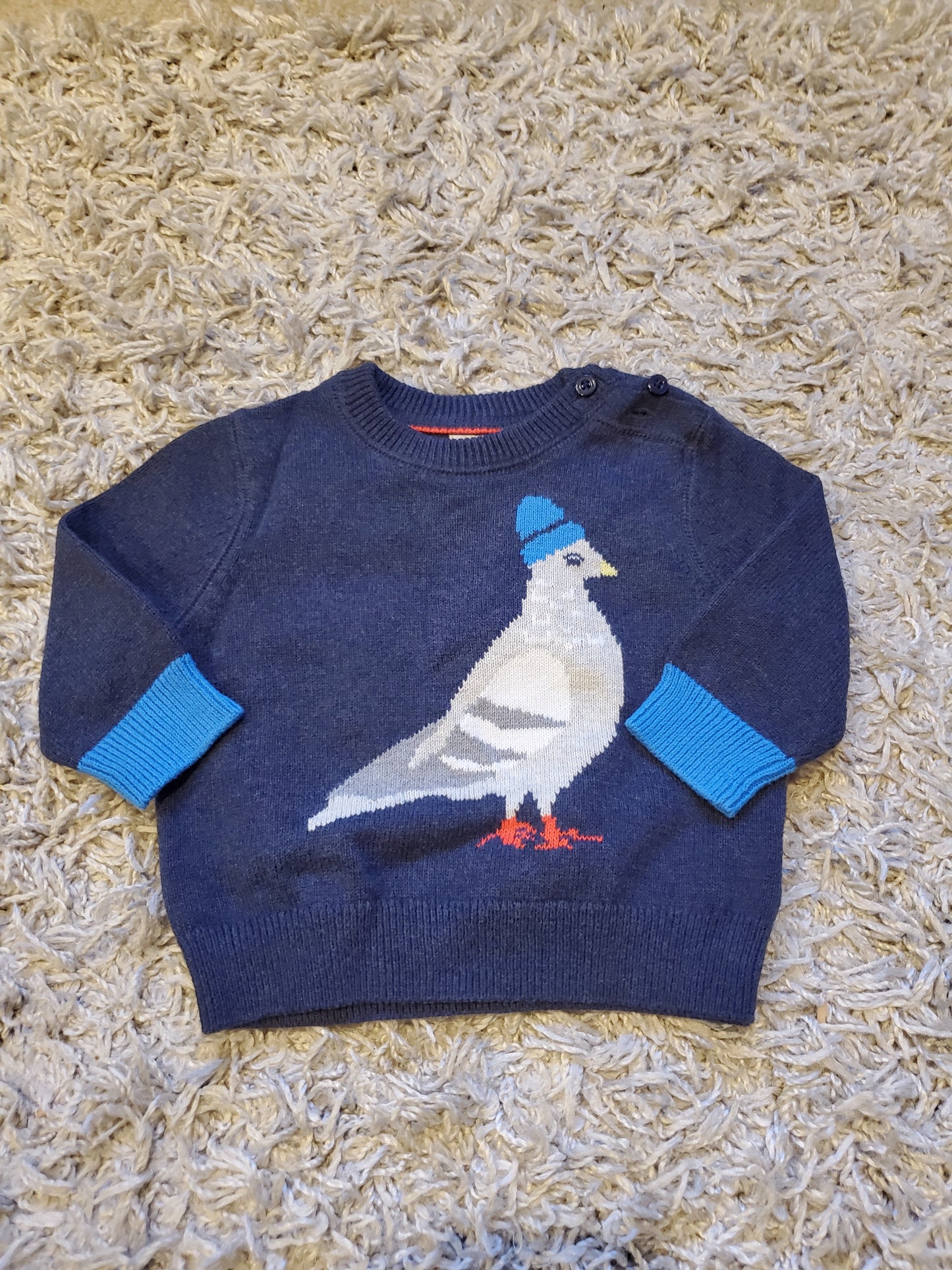 Baby Gap pigeon sweater. Size 3-6 months. Excellent used condition.