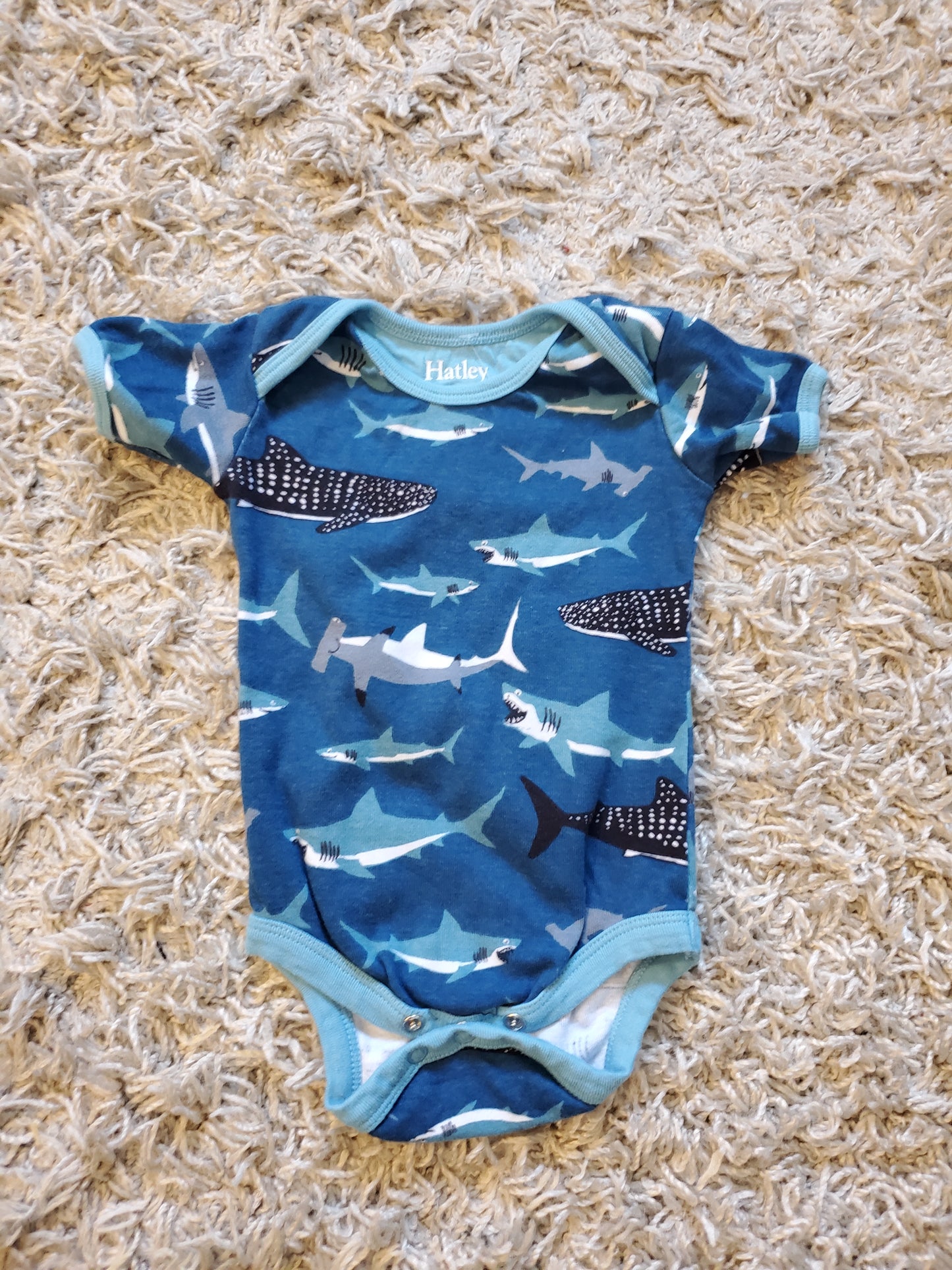 Hatley Bodysuit. Excellent used condition. Size 3-6 months.