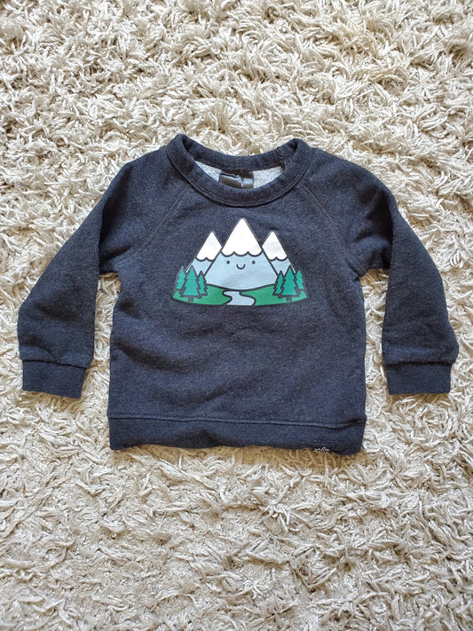 Whistle and Flute sweatshirt size 6-12 months