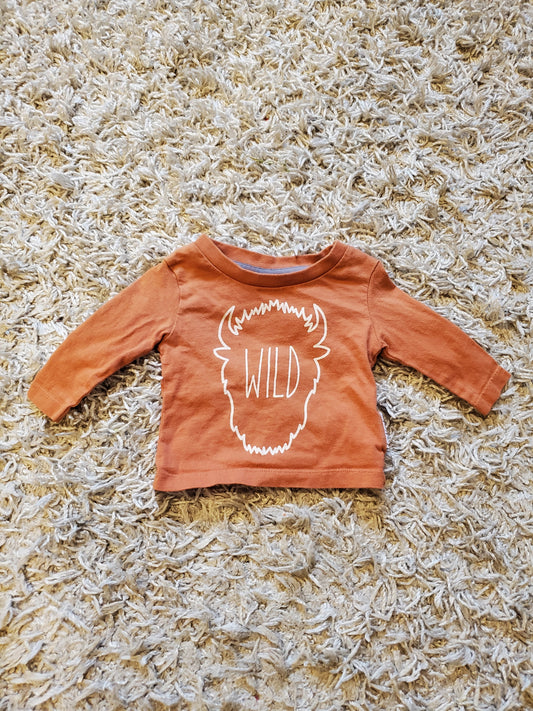 6-Sticks long sleeve t-shirt.  Good used condition. Some pilling and wash wear. Size newborn.